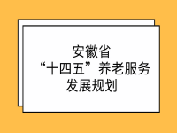 安徽省“十四五”养老服务发展规划 皖民养老字〔2022〕10号
