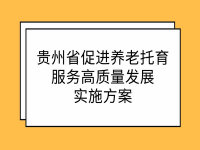贵州省促进养老托育服务高质量发展实施方案 黔府办发〔2022〕6号