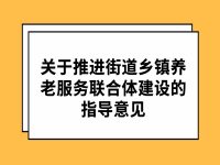 关于推进街道乡镇养老服务联合体建设的指导意见