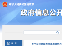 关于加快发展农村养老服务的指导意见 民发〔2024〕20号