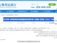 关于印发《积极发展老年助餐服务的实施方案》的通知 吉民发〔2024〕10号