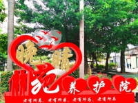 晚晴苑养护院：老幼共托、医养结合，打造全方位养老服务新典范