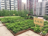 北京市朝阳区太阳宫老年公寓：正规养老机构，价格标准公示