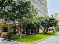 东莞企石镇失能护理照护全攻略：最新机构排名一览表