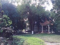 衡阳失能护理养老院推荐一览表：专业机构排名与选择指南