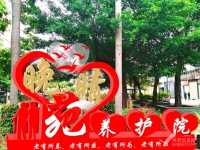 龙华区专业照护养老机构：深圳市龙华区晚晴苑养护院 （2026年07月）
