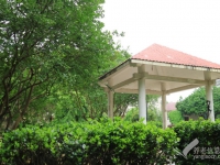 湘潭雨湖区集中照护养老机构一览表 （2026年05月）