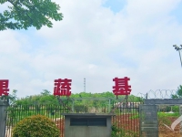 株洲荷塘区医养融合养老院哪家好？
