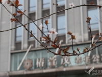 重庆渝北区养老院地址一览表 （2026年06月）
