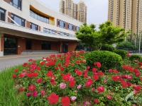 昌平区包吃住养老机构精选TOP10