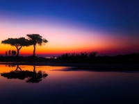 秋天的小景（三首）