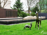 2家！沈陽渾南區失能老人照護養老機構名單