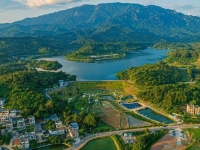 莫言來了！他說，叫醒我的是羅浮山的蟲鳴鳥叫~