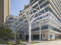 柏善康養中心盛大啟幕，以醫養結合新標桿定義銀齡幸福生活