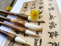 散文要重點寫生活感受