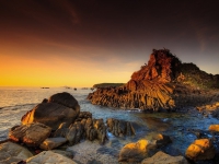 山里拾趣（三首）