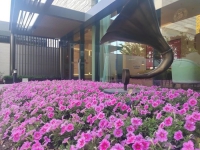 泰康之家?申園（護理照護區）：18.9萬次保潔+15萬步夜巡，揭秘銀發生活的“隱形守護者”！