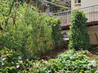 海口琼山区哪家养老院好？