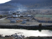 田園詩展現黃金葉 ——我的寫作體會