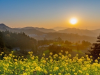 鄉土詩重在抒農家情