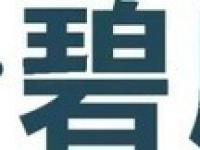 一月新启，万事顺康——一月 | 碧康活动精彩回顾