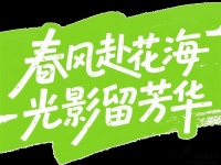 泰康之家·粤园（护理照护区）春日踏青记：花海漫步+光影教学暖启芳华