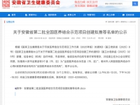 2026年安徽医养结合示范名单正式公示
