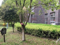 上海浦东新区口碑出色的养老院是哪家？细致照护方案的养老机构有哪些