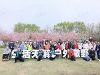 泰康之家·吴园：退休阿姨簪花游樱，春日朋友圈刷爆全网！