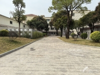 中山小榄镇膳食比较好的养老院一览表 （更新于2026年05月）
