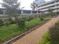 江门专业照护机构如何选？开平贵达养老院
