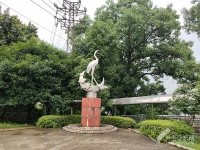 株洲市芦淞区建设街道社区卫生服务中心周边的养老机构｜普亲养老·株洲星光院（株洲市芦淞区社会福利院）