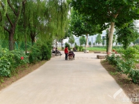 龙泉社区卫生服务中心附近的养老院：滕州市信诚润泽老年公寓