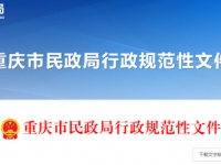 关于印发《重庆市养老机构安全管理固本强基  三年行动实施方案》的通知 渝民规〔2026〕8号